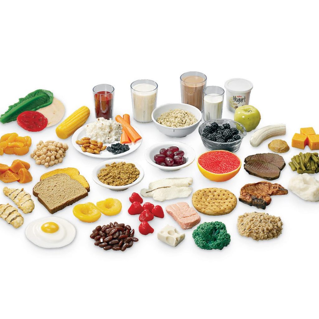 model food